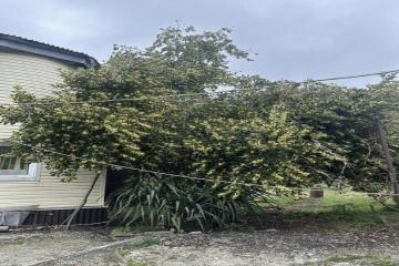 Фото №5: Дом 414 м² - Ольгинка, ул. Садовая, 1