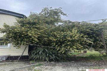 Фото №5: Дом 414 м² - Ольгинка, ул. Садовая, 1