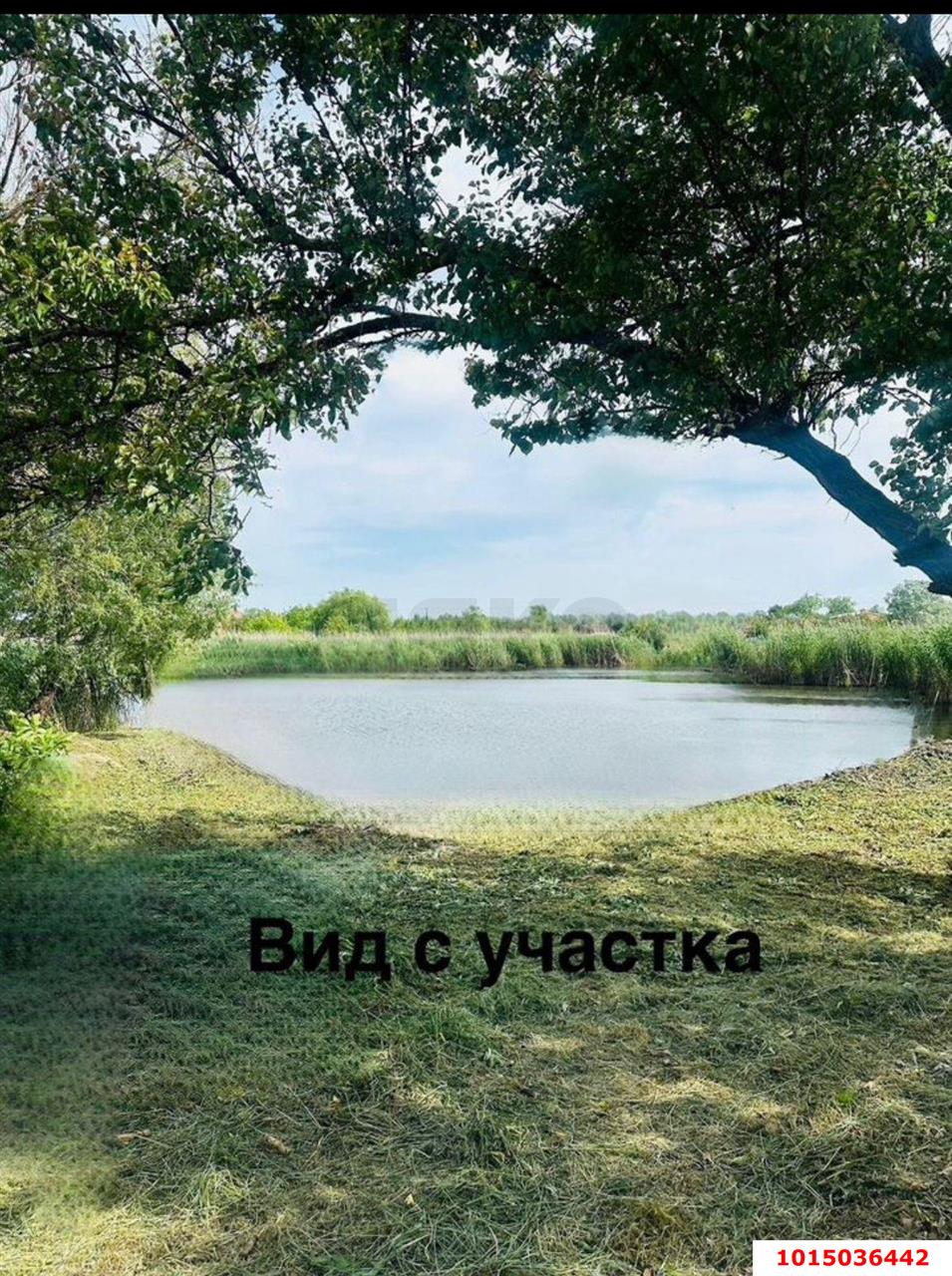 Фото №19: Дом 217 м² + 20 сот. - Новотитаровская, ул. Заречная, 116