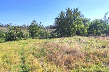 Фото №4: Земельный участок 26 сот. - Карла Маркса, ул. Белевцы, 84