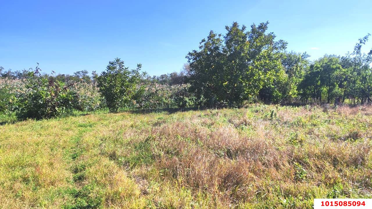 Фото №4: Земельный участок 26 сот. - Карла Маркса, ул. Белевцы, 84