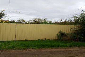 Фото №4: Земельный участок 4 сот. - Краснодар, ст КНИИСХ, ул. Грушевая