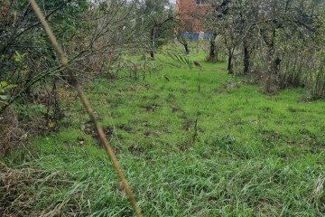 Фото №1: Участок садоводство 6.98 сот. - Строитель, ул. Светлая, 172