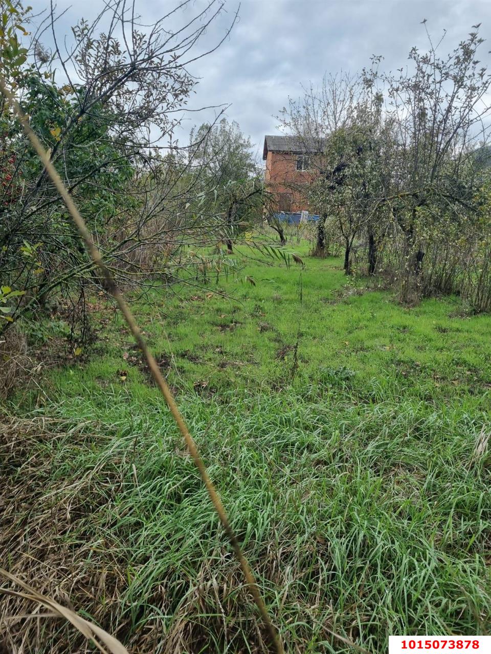 Фото №1: Участок садоводство 6.98 сот. - Строитель, ул. Светлая, 172