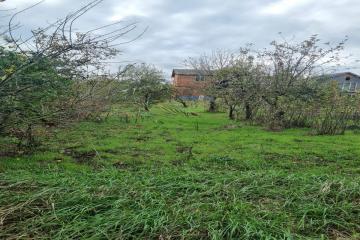 Фото №3: Земельный участок 6.98 сот. - Строитель, ул. Светлая, 172