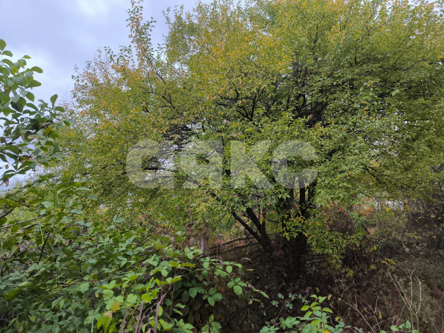 Фото №2: Участок садоводство 5 сот. - Армавир, 1-е Отделение, ул. Тенистая, 717