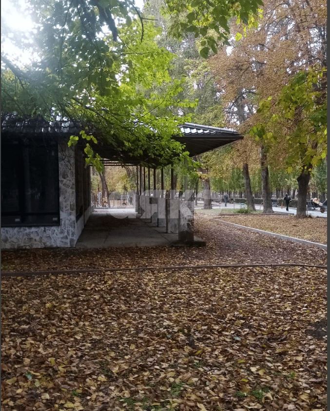 Фото №4: Коммерческая земля 1242 сот. - Ростов-на-Дону, Первомайский, ул. 1-й Конной Армии, 6Б