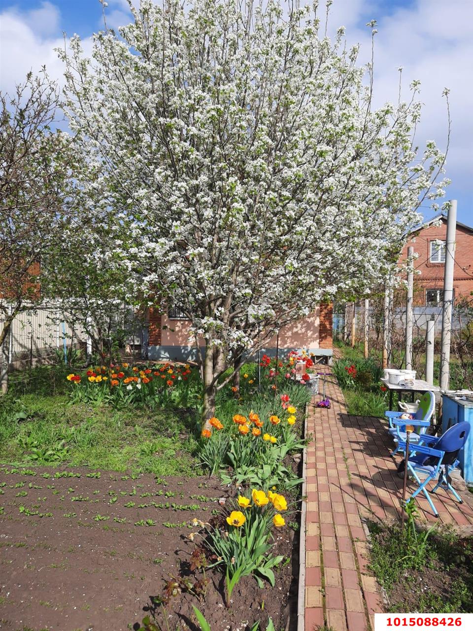 Фото №8: Дом 34 м² + 4.4 сот. - Юбилейное, Прикубанский внутригородской округ, ул. Ромашковая, 11