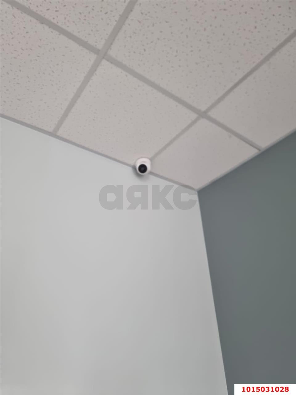 Фото №13: Коммерция 37 м² - Краснодар, жилой комплекс Краски, мкр. Прикубанский внутригородской округ, ул. Краеведа Соловьёва, 6к7