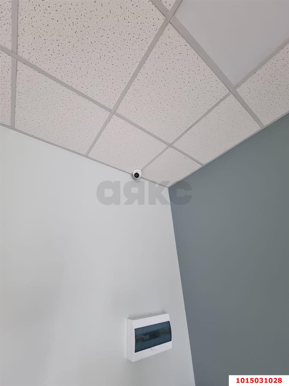 Фото №8: Торговое помещение 38 м² - Краснодар, жилой комплекс Краски, ул. Краеведа Соловьёва, 6к7