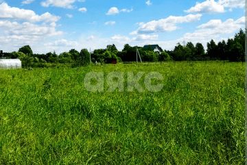 Фото №1: Земельный участок под ИЖС - Новоалексеевский, ул. Ленина, 54