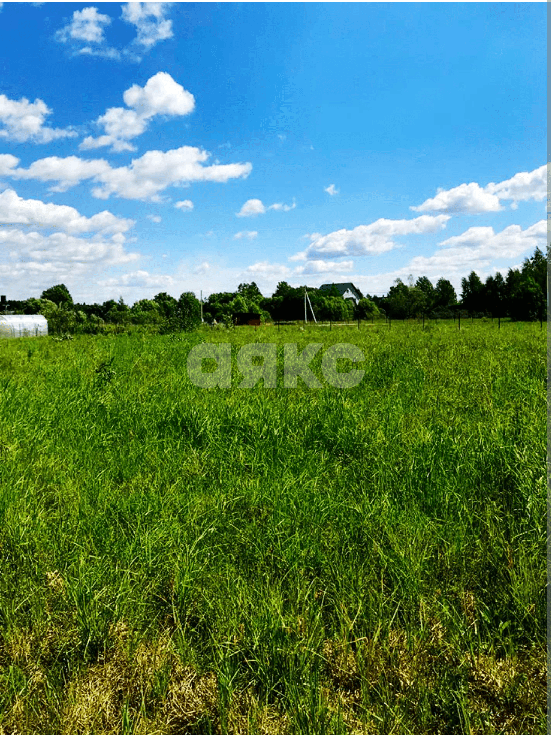 Фото №1: Земельный участок под ИЖС 52 сот. - Новоалексеевский, ул. Ленина, 54