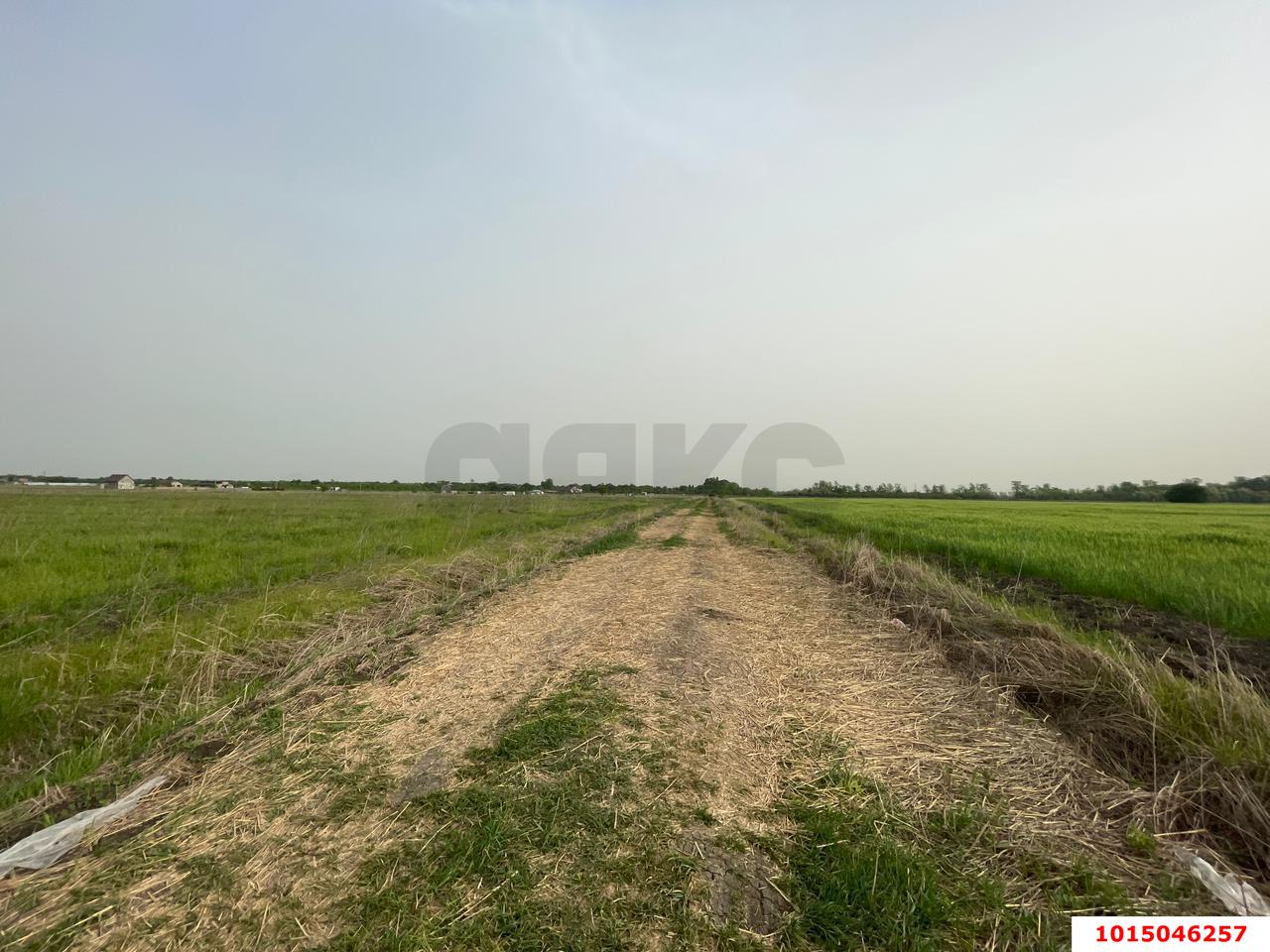 Фото №4: Коммерческая земля 6 сот. - Краснодар, Прикубанский внутригородской округ, ул. Спаниельская