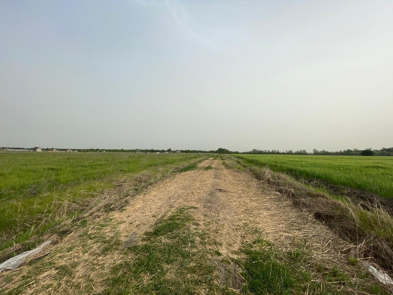 Фото №4: Коммерция 6 м² - Краснодар, мкр. Прикубанский внутригородской округ, ул. Спаниельская