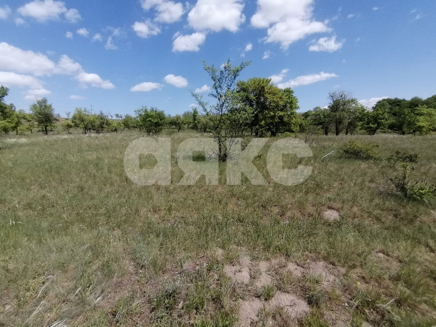 Фото №7: Участок садоводство 20 сот. - Царицын, Царицынское, ул. Каштановая, 4