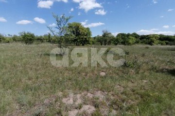 Фото №4: Участок садоводство - Царицын, днт Царицынское, ул. Каштановая, 4