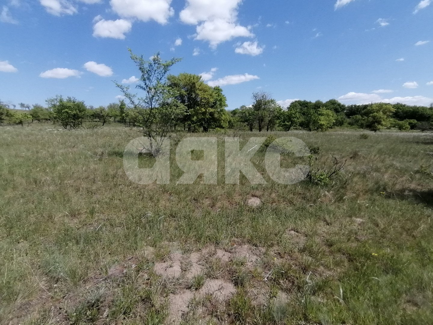 Фото №4: Участок садоводство 20 сот. - Царицын, Царицынское, ул. Каштановая, 4