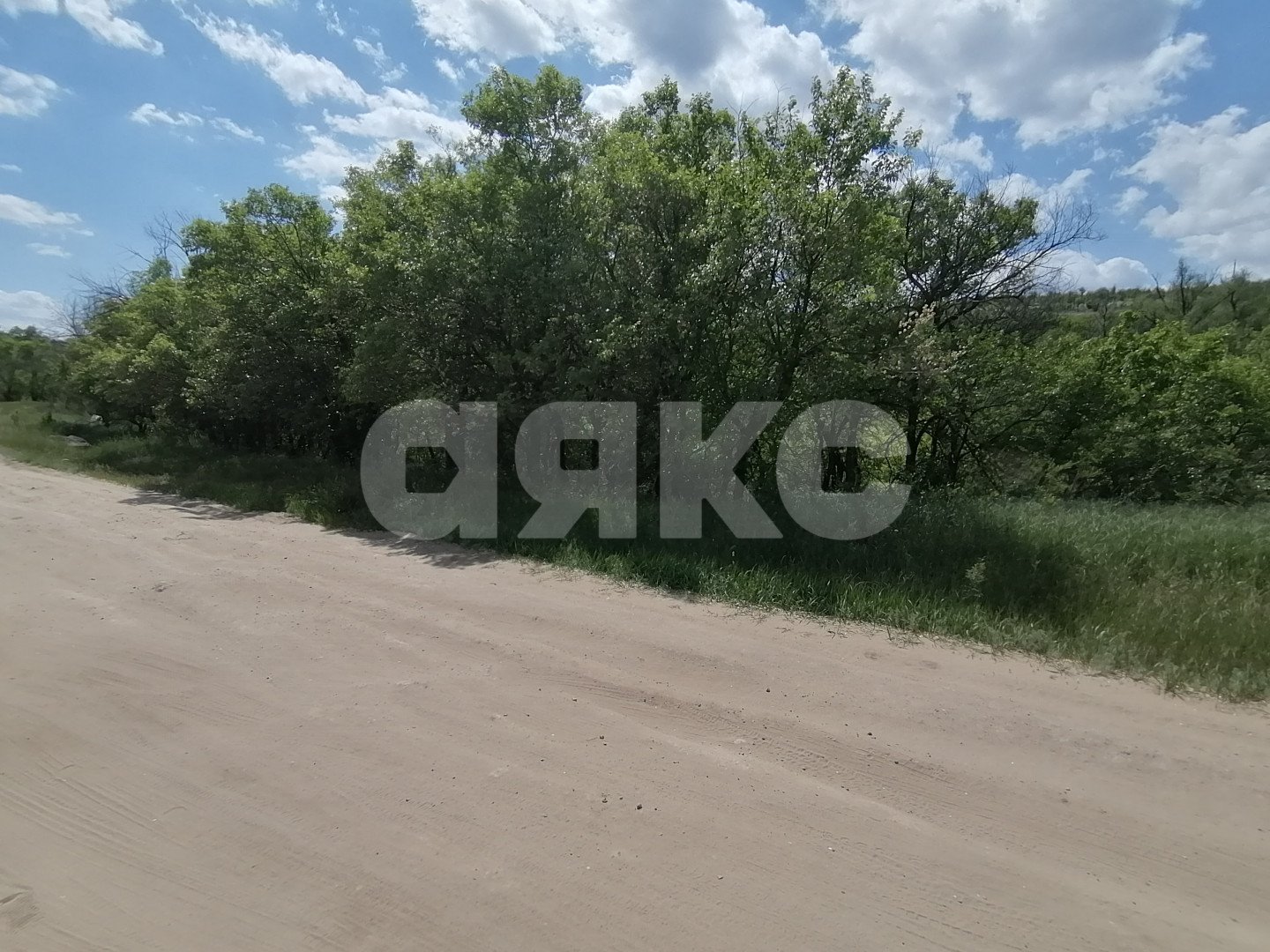 Фото №2: Участок садоводство 20 сот. - Царицын, Царицынское, ул. Каштановая, 4