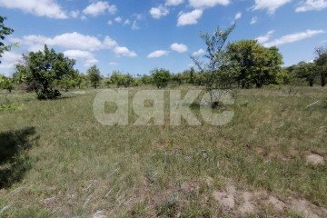 Фото №5: Участок садоводство - Царицын, днт Царицынское, ул. Каштановая, 4