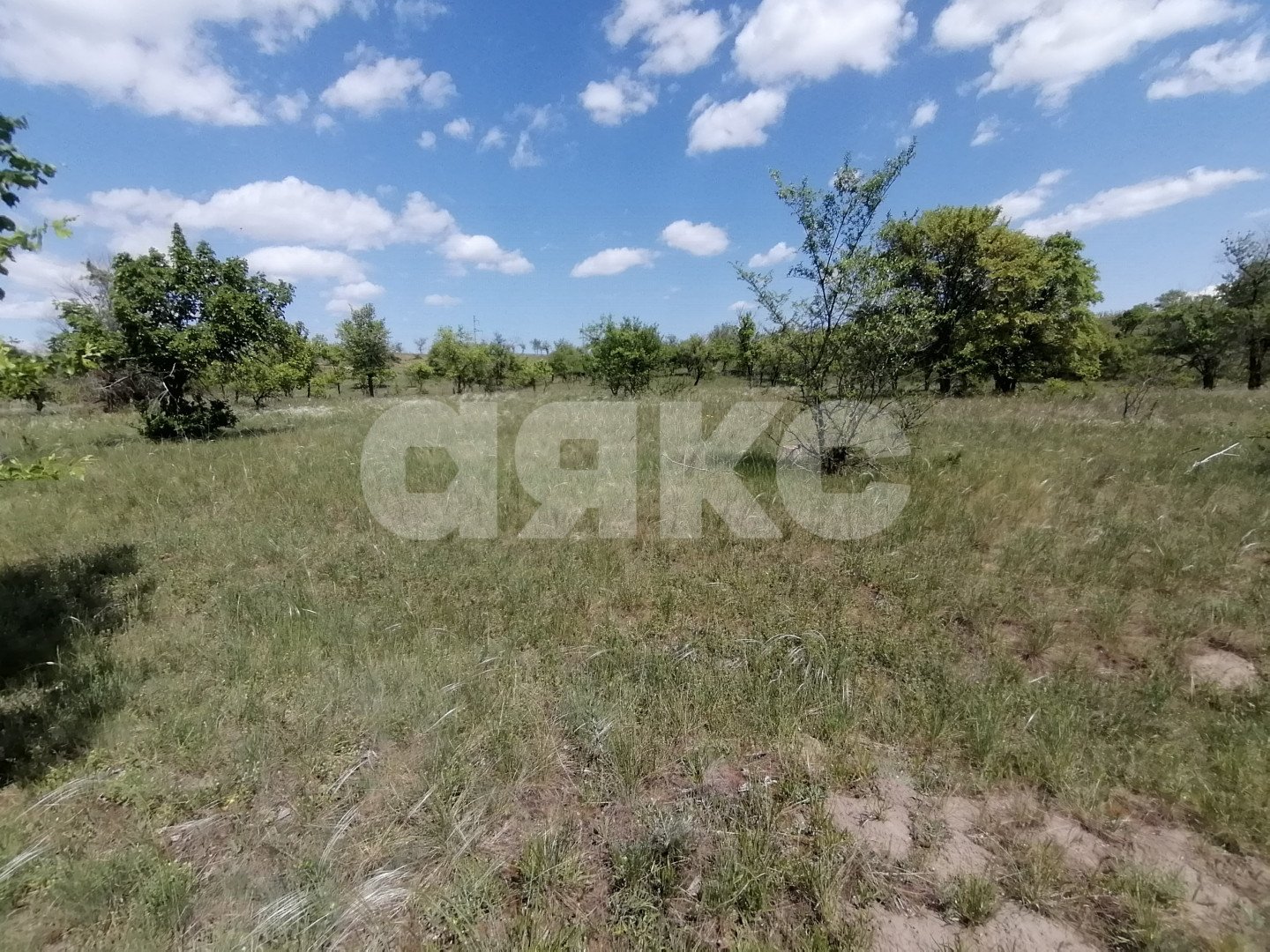 Фото №5: Участок садоводство 20 сот. - Царицын, Царицынское, ул. Каштановая, 4