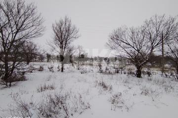 Фото №4: Участок садоводство - Царицын, днт Царицынское, ул. Каштановая, 4