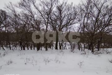 Фото №5: Участок садоводство - Царицын, днт Царицынское, ул. Каштановая, 4