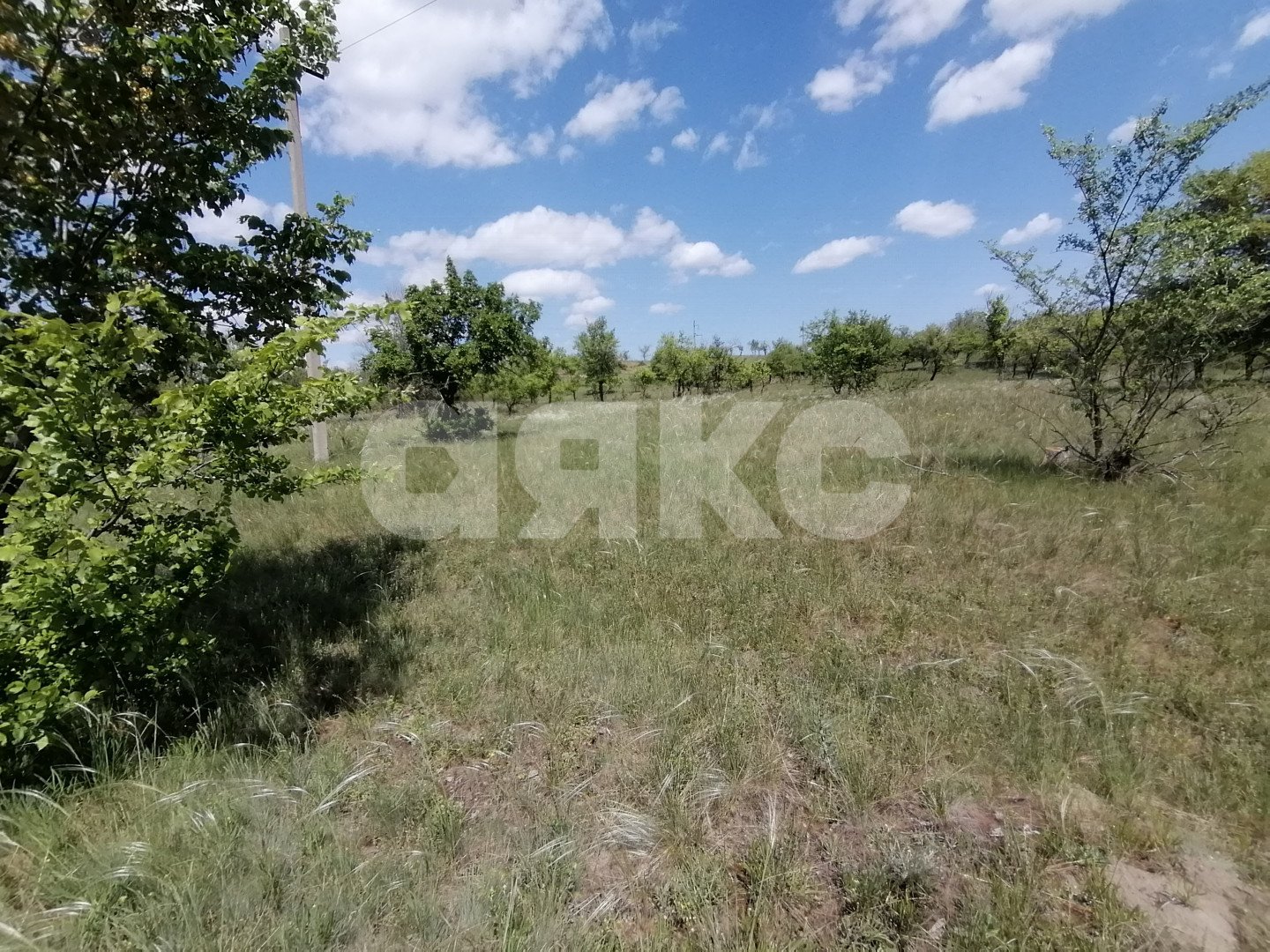 Фото №6: Участок садоводство 20 сот. - Царицын, Царицынское, ул. Каштановая, 4