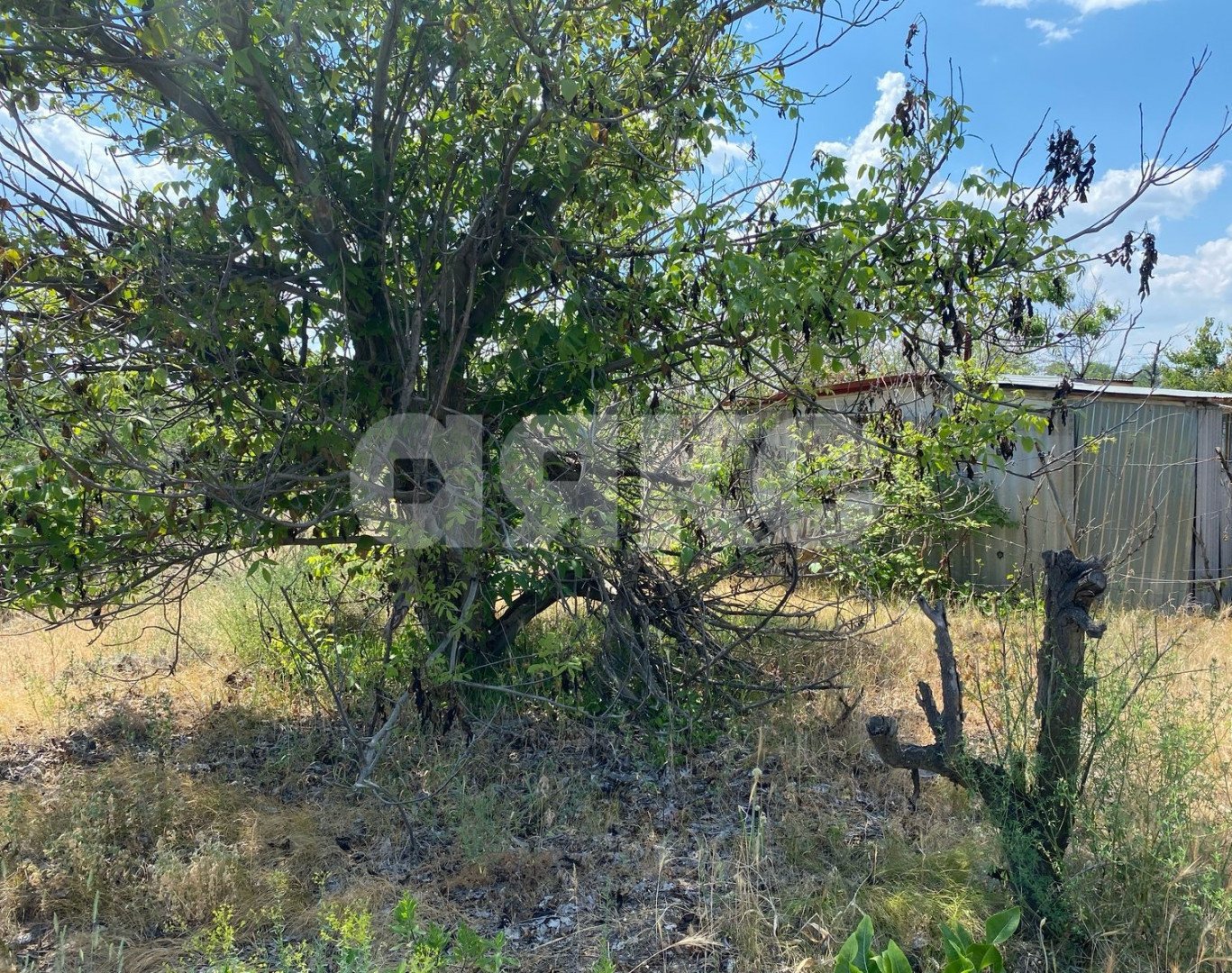 Фото №12: Участок садоводство 6 сот. - Волгоградская область городской округ Волгоград