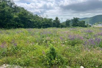 Фото №2: Земельный участок 8.08 сот. - Агой, ул. Светлая, 8