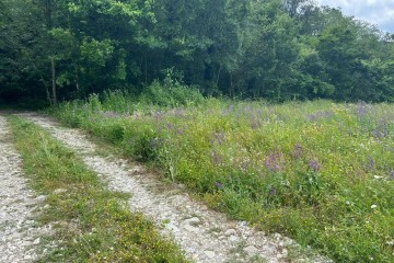 Фото №3: Участок садоводство 8.08 сот. - Агой, ул. Светлая, 8