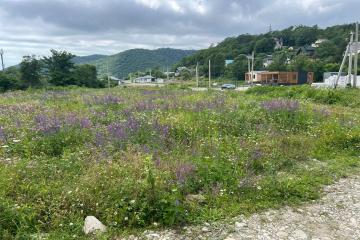 Фото №1: Земельный участок 8.08 сот. - Агой, ул. Светлая, 8