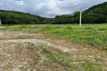 Фото №5: Земельный участок 8.08 сот. - Агой, ул. Светлая, 8