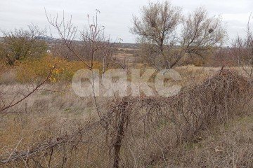 Фото №3: Участок садоводство - Мариуполь, р. Ильичёвский, 