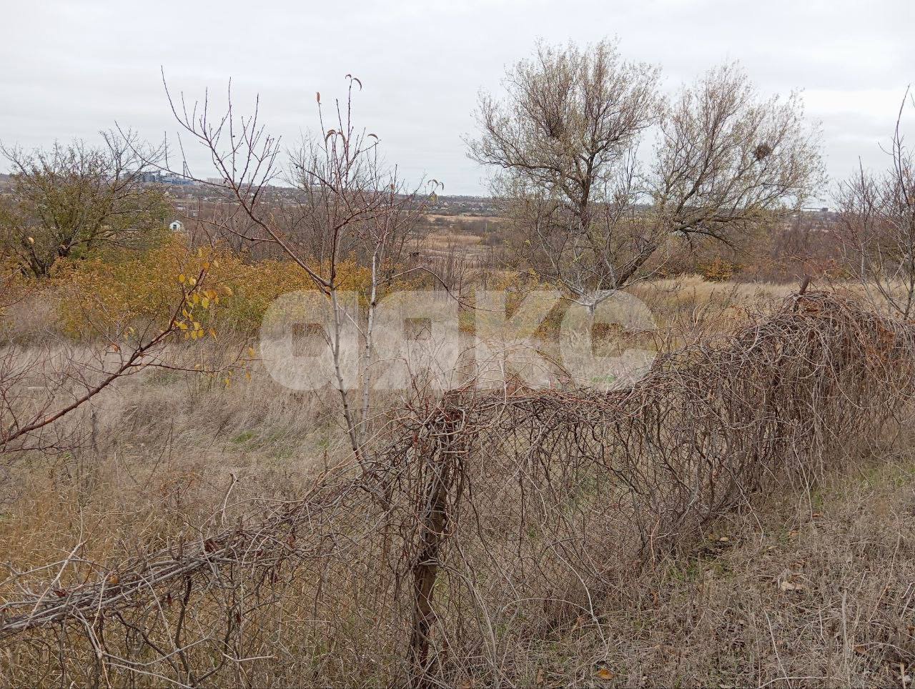 Фото №3: Участок садоводство 1200 сот. - Мариуполь, Ильичёвский