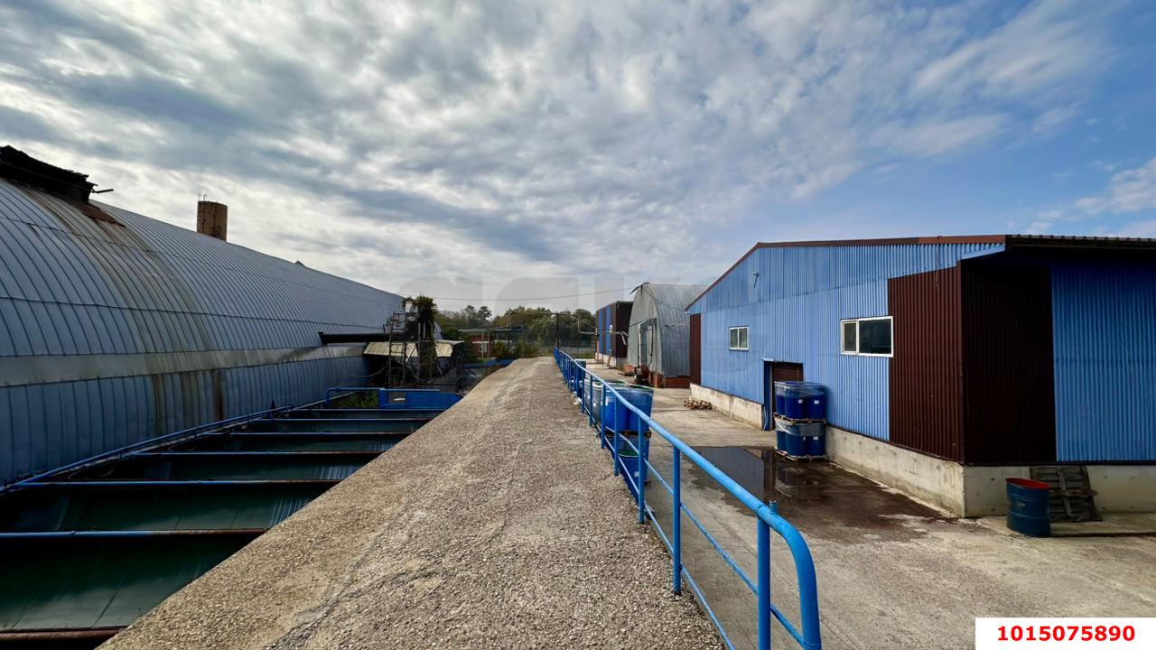 Фото №4: Производственное помещение 4000 м² - Новотитаровская, ул. Крайняя, 18В/4