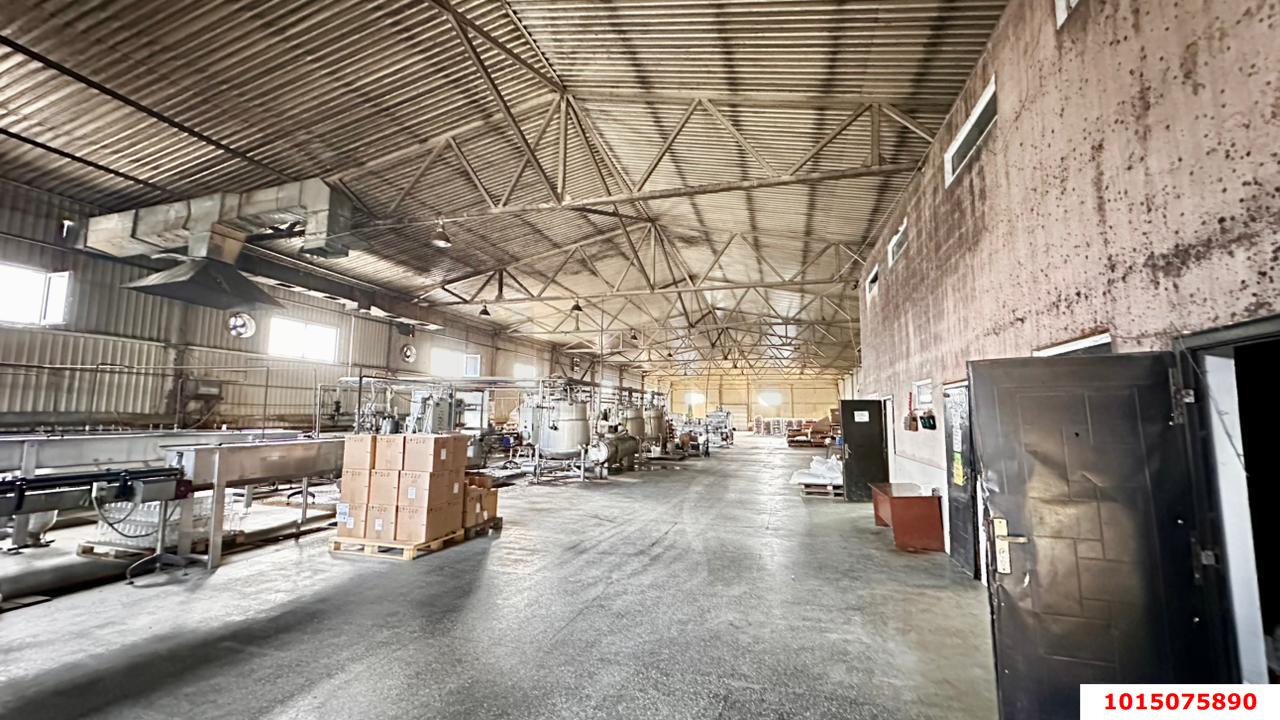 Фото №9: Производственное помещение 4000 м² - Новотитаровская, ул. Крайняя, 18В/4