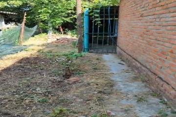 Фото №3: Дом 50 м² - Елизаветинская, ст Голубая Нива, ул. Яблоневая, 64