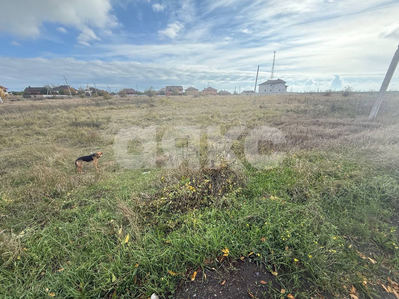 Фото №1: Земельный участок под ИЖС 864 сот. - Ильичевское