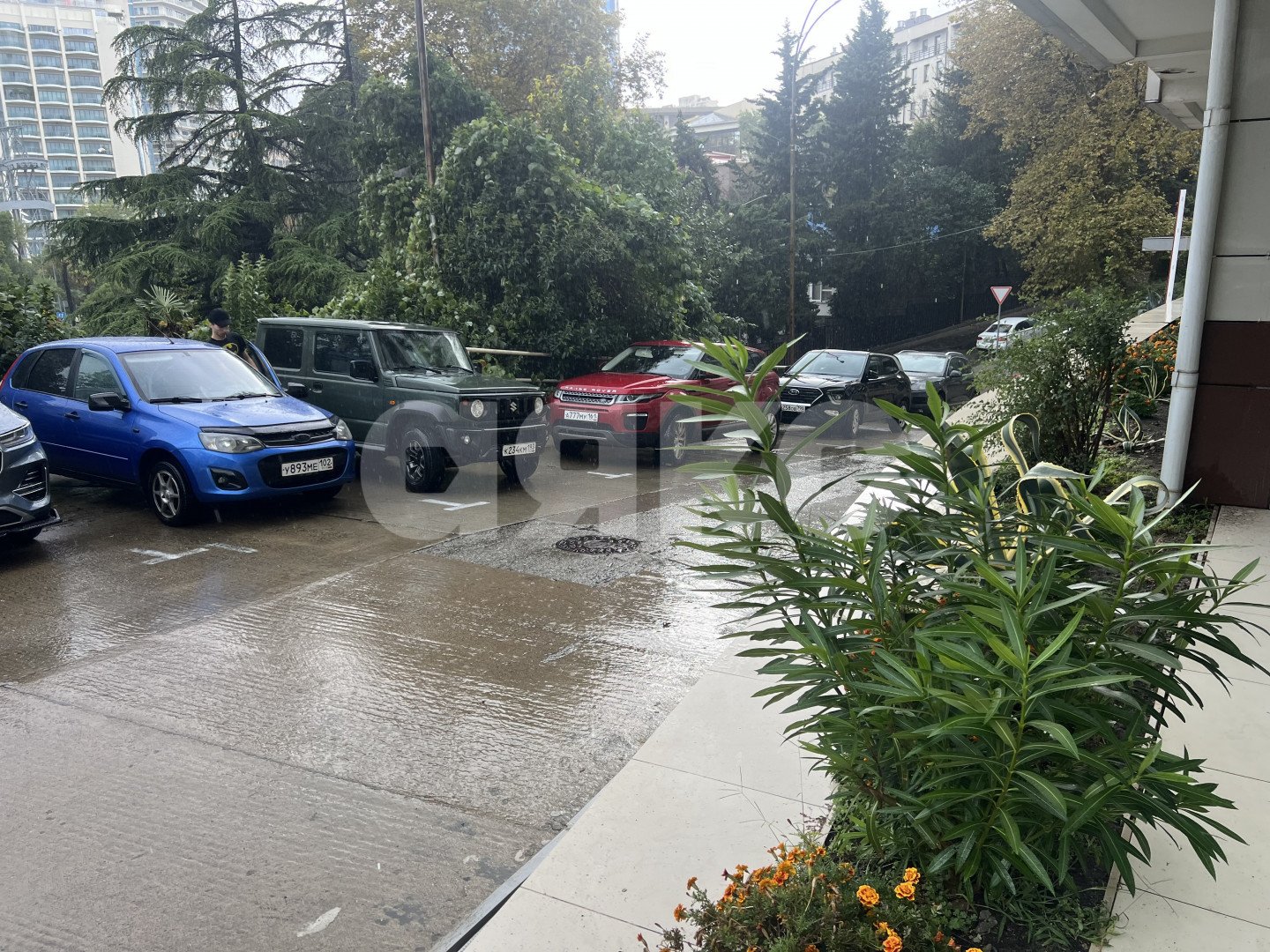 Фото №26: 2-комнатная квартира 72 м² - Сочи, Приморье, пр-кт Курортный, 108/16