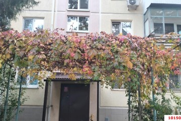 Фото №3: 2-комнатная квартира 41 м² - Краснодар, мкр. Черёмушки, ул. Ставропольская, 179