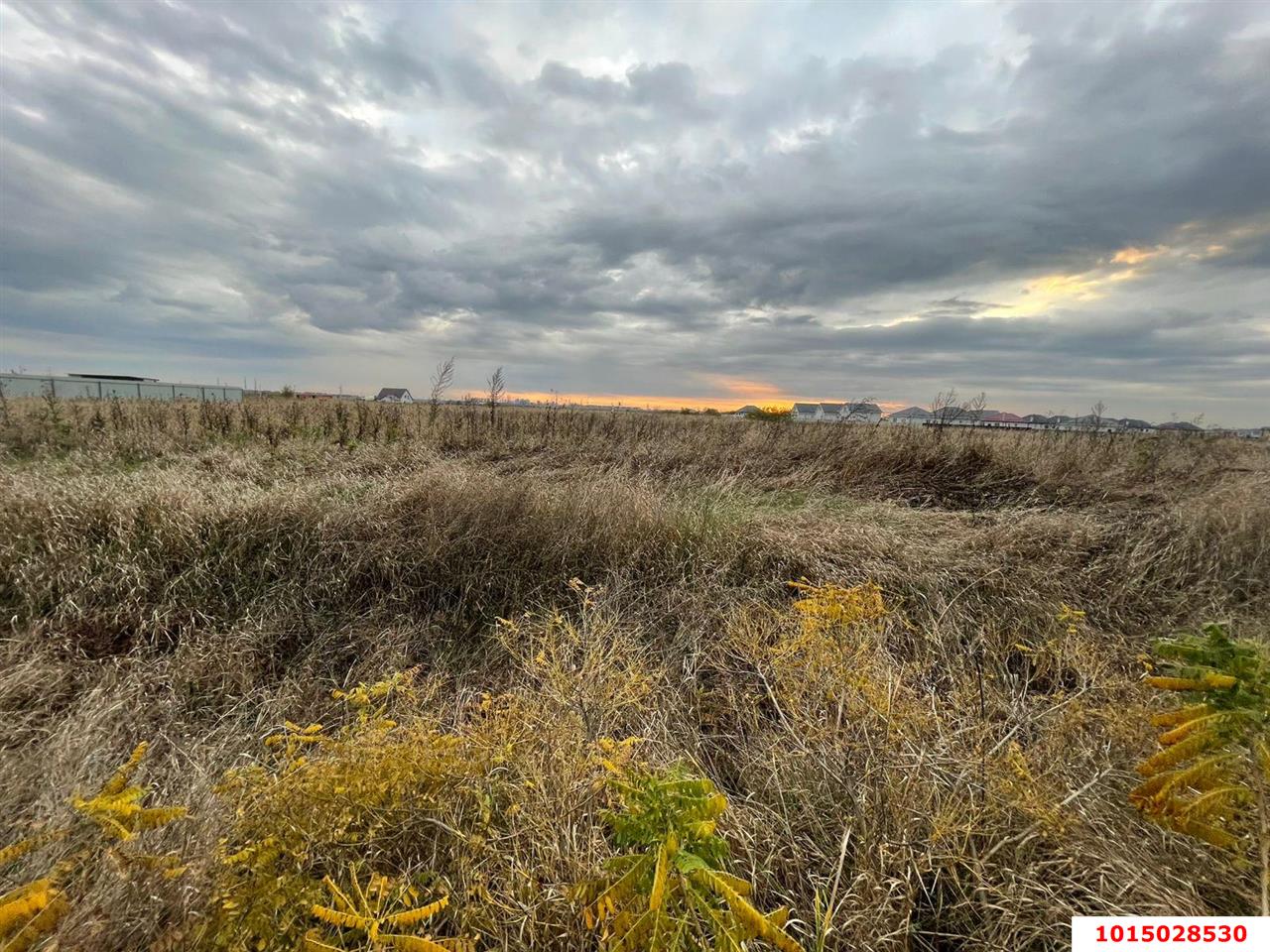 Фото №3: Земельный участок 12.26 сот. - Южный, мкр. Олимпийский, ул. Просторная, 85