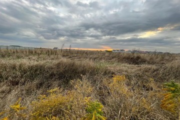 Фото №3: Земельный участок под ИЖС 12.26 сот. - Южный, мкр. Олимпийский, ул. Просторная, 85