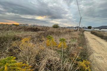 Фото №2: Земельный участок 12.26 сот. - Южный, мкр. Олимпийский, ул. Просторная, 85