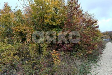 Фото №3: Участок садоводство - садовые участки Смена, ул. Виноградная, 3