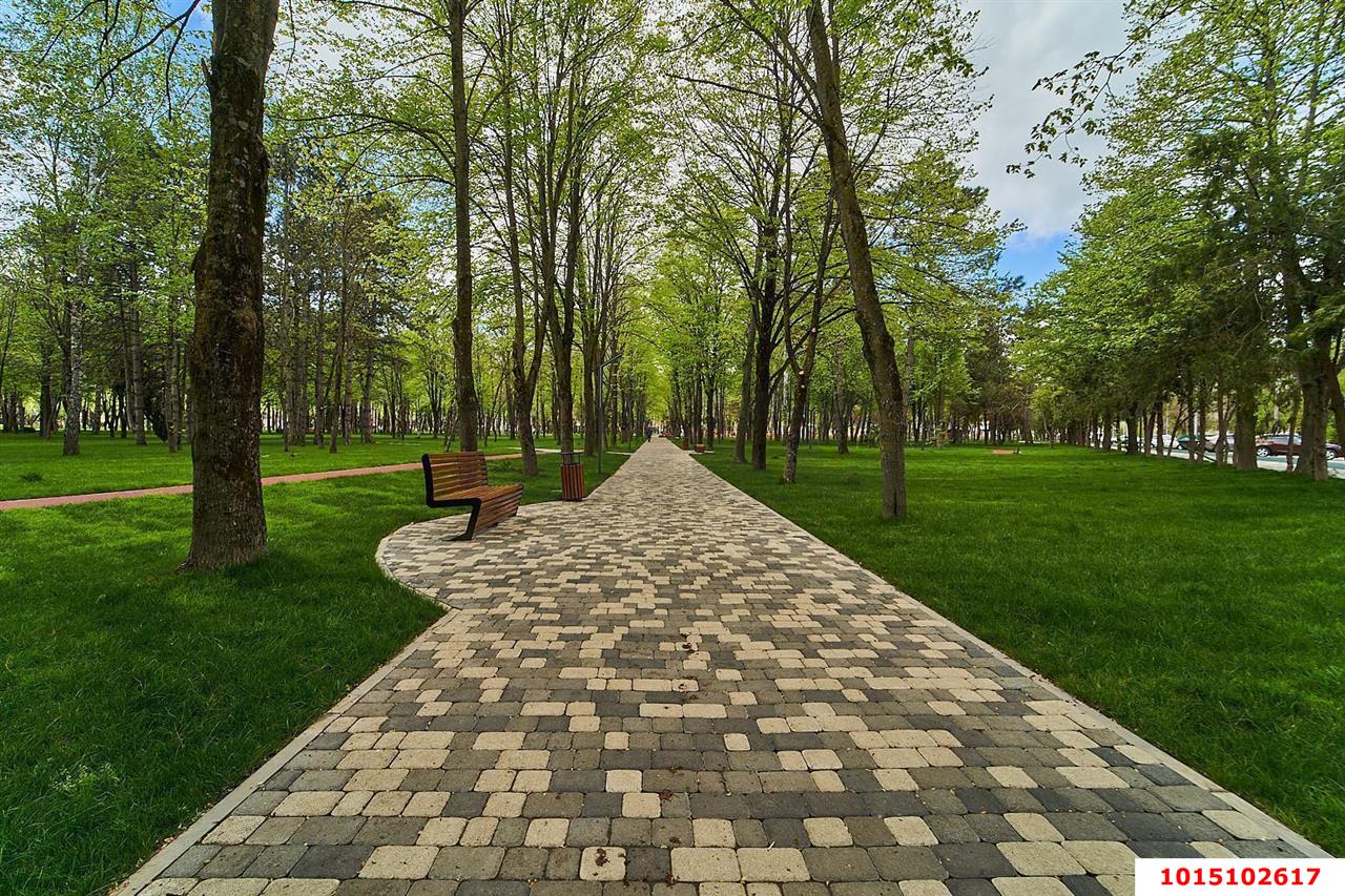 Фото №17: 2-комнатная квартира 45 м² - Берёзовый, жилой комплекс Прогресс, ул. имени Туполева А.Н., 1