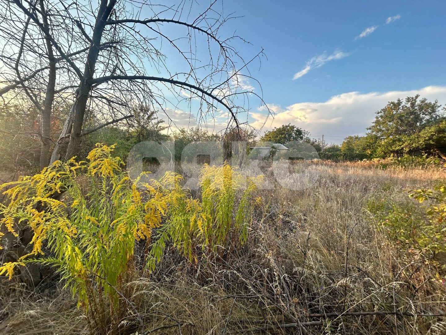 Фото №3: Земельный участок под ИЖС 8 сот. - Луганск, Родник, 18
