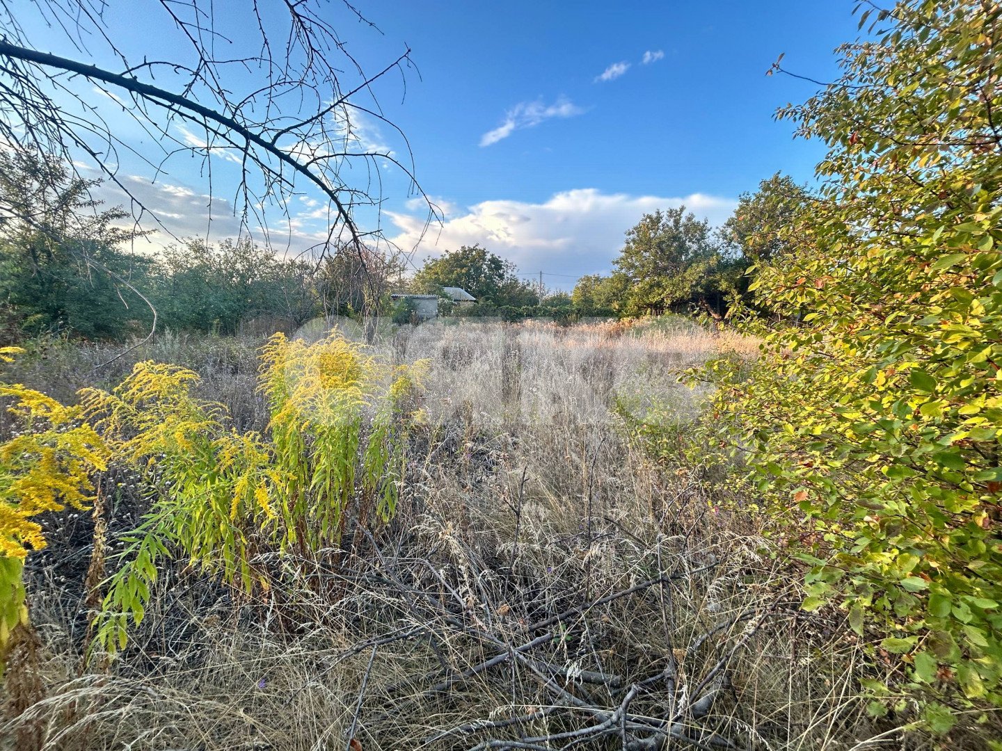 Фото №4: Земельный участок под ИЖС 8 сот. - Луганск, Родник, 18