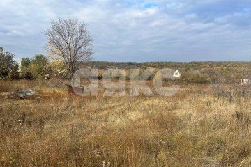 Фото №4: Земельный участок под ИЖС - Хрящеватое, ул. Лесная