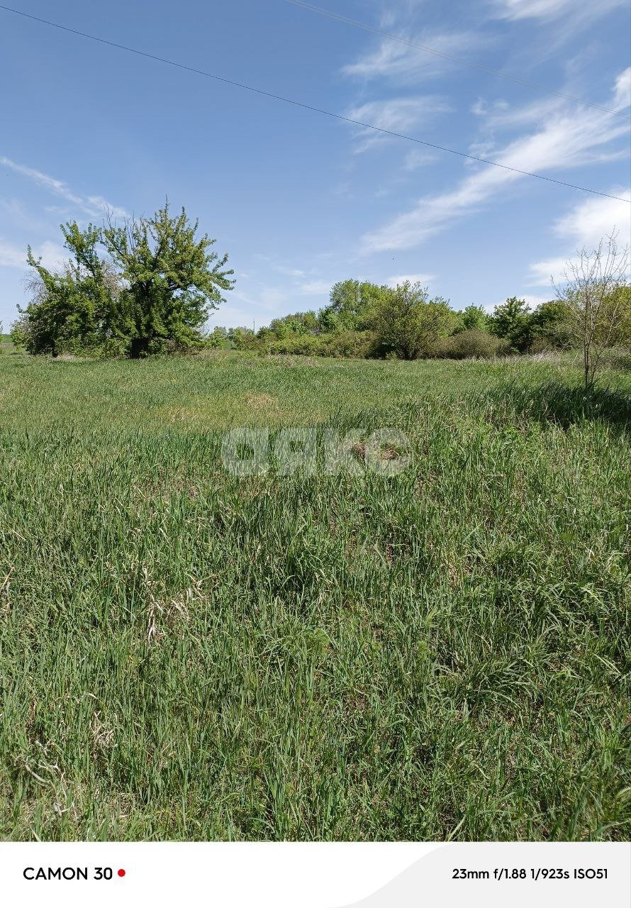 Фото №3: Земельный участок под ИЖС 90 сот. - Нижняя Ольховая