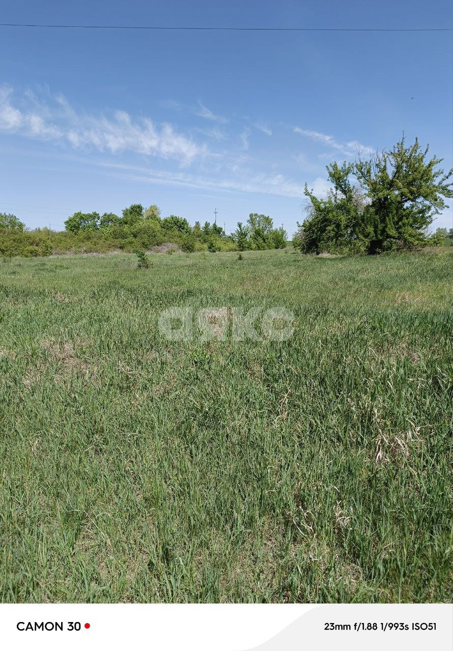 Фото №5: Земельный участок под ИЖС 90 сот. - Нижняя Ольховая